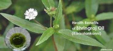 10 Remarkable Benefits and Uses of Bhringraj Oil (Karisalankanni) for Health, Skin and Hair