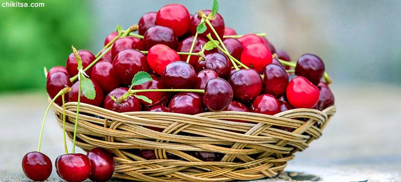 Best diet for kidney disease uses of Cherries
