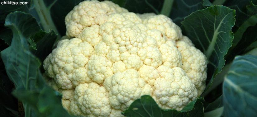 Best diet for kidney disease uses of Cauliflower