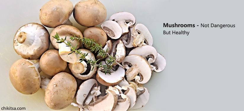 Mushrooms- Not Dangerous But Healthy
