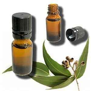 5 Amazing Benefits of Eucalyptus