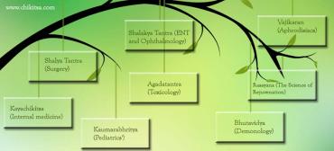 8 Branches of Ayurveda