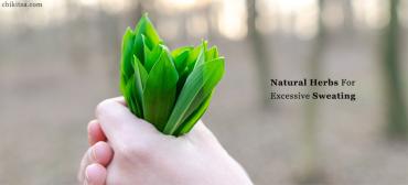 9+ Natural Herbs For Excessive Sweating