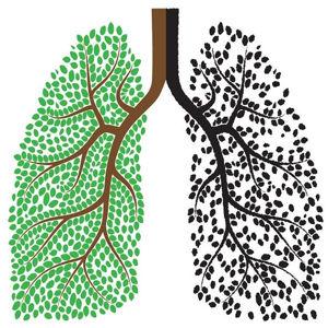 Ayurveda for respiratory health
