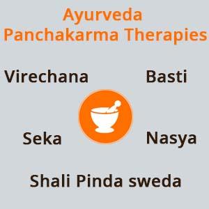 Ayurvedic Detox and its importance in Women's Health