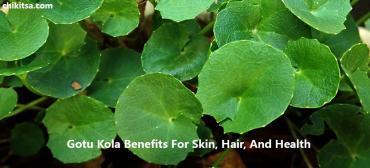 Know The Benefits Of Gotu Kola For Skin, Hair, And Health