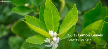 Wonderful Lemon Leaves Benefits For Skin