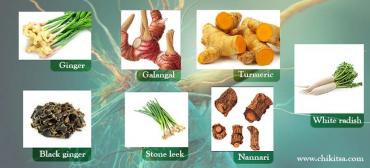 Roots That Heal Your Body