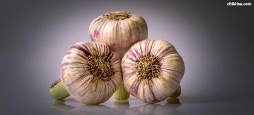 The Superman of Herbs - Garlic
