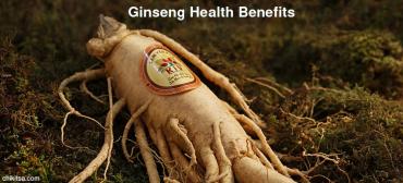 Health Benefits of Herb Ginseng