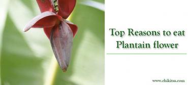 Top Reasons to Eat Plantain Flower
