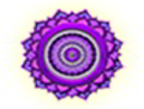 Yog Nisarga