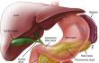 Liver & Spleen Clinic