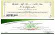 Online consultation